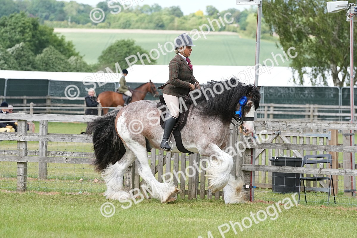 SBM_17651 - Class 107-108 - LIHS BSPS Performance Coloured Horse Pony