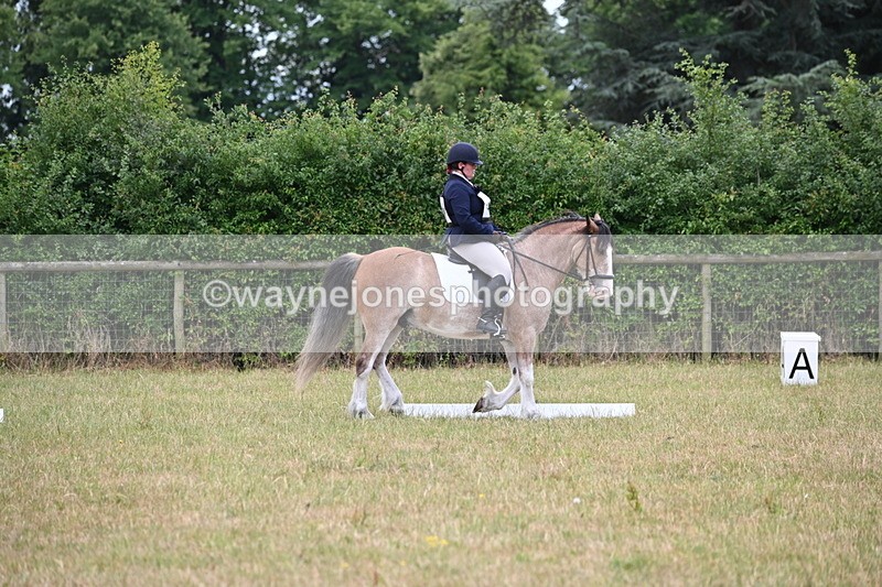 WJ6_3132 - Time 11:07 to 11:34