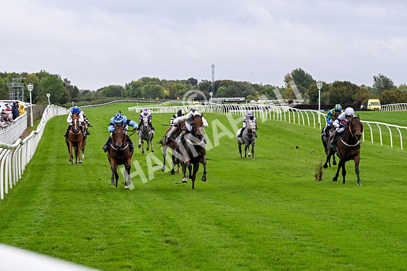 011025-Race 1-Edgewater Drive-0032 - Race 1