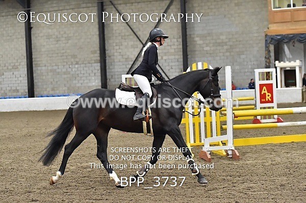 BPP_3737 - FRI CLASS 21 BR NOVICE/90CM