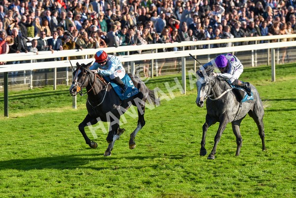 141023-Race 6-Punctuation-1501 - Race 6 4.10pm Coral Get Closer To The Action Handicap