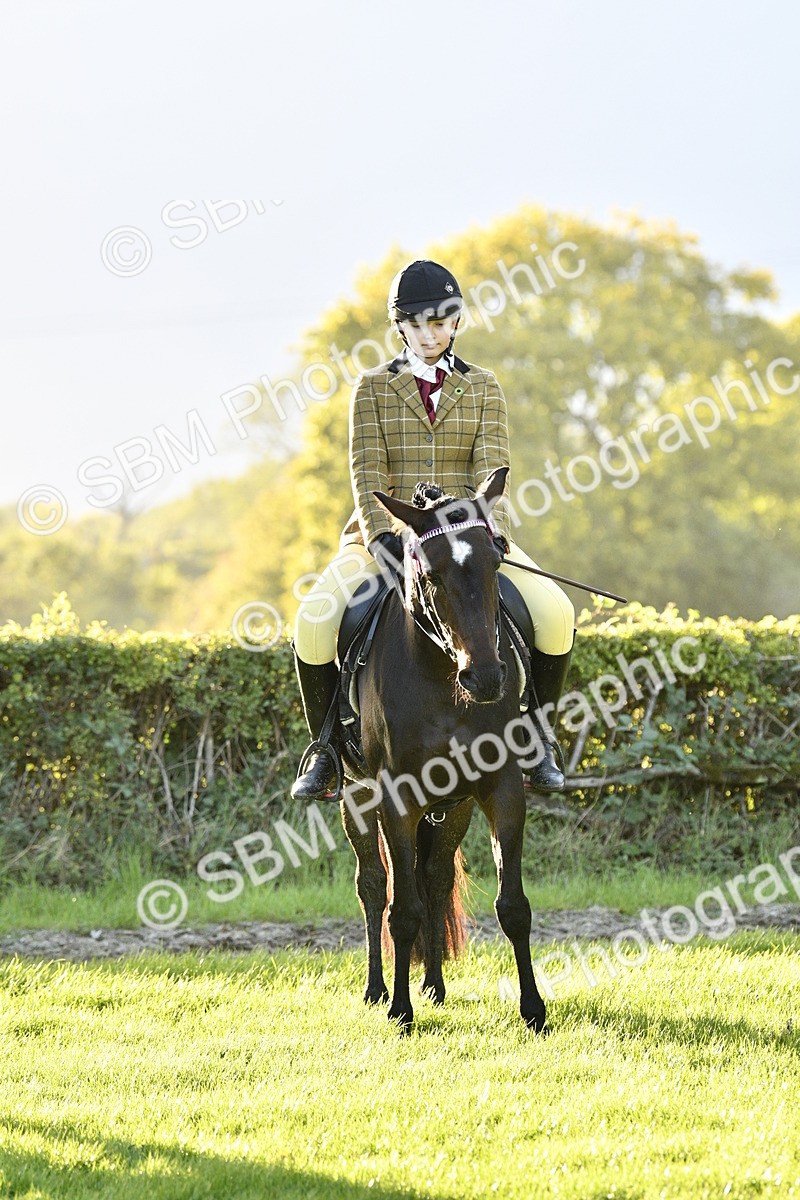 SBM_53581 - S14 - Riding Club Horse