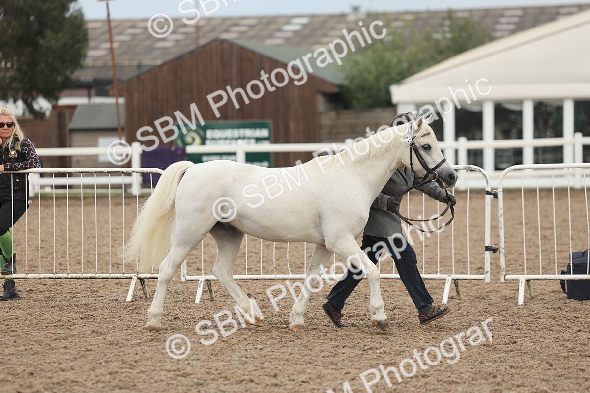 SBM_08492 - Class 29 - IH Veteran Pony