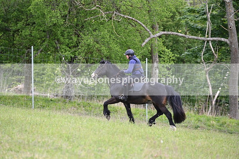 WJ6_1452 - Group 3 A&B Cameras