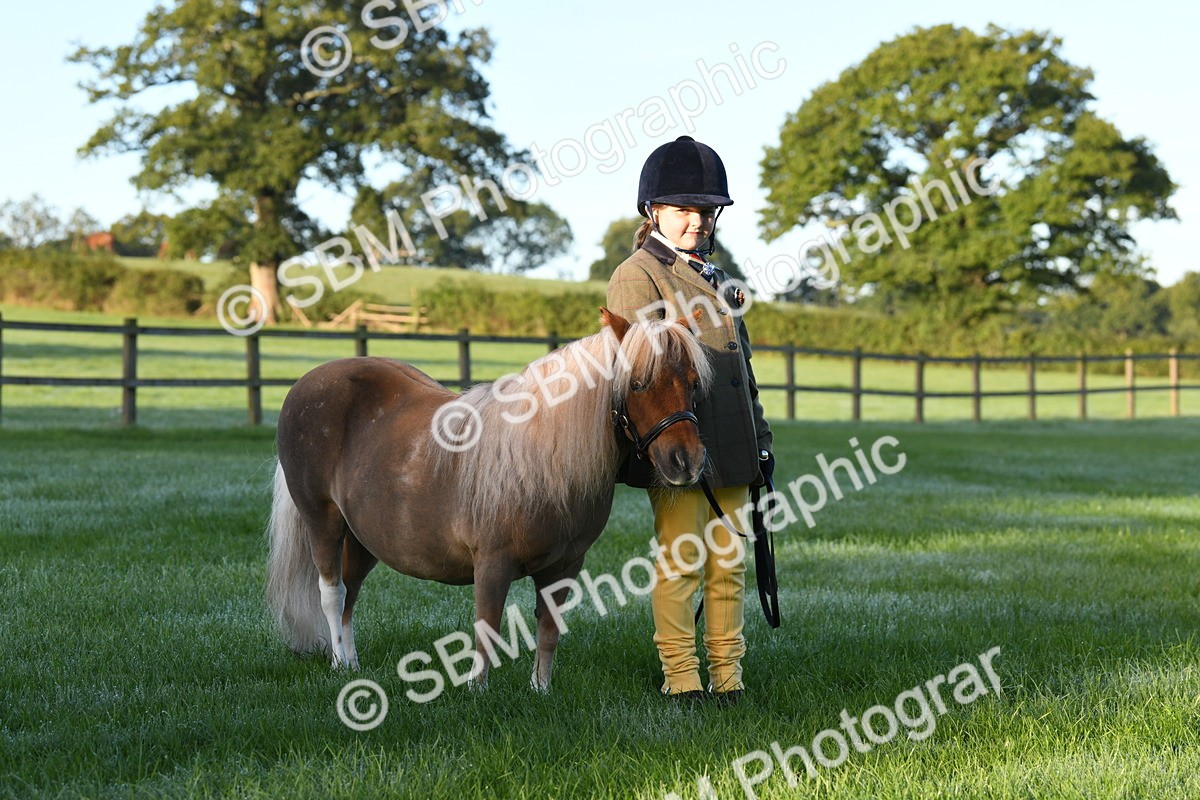SBM_32635 - S15 - Condition & Turnout In Hand