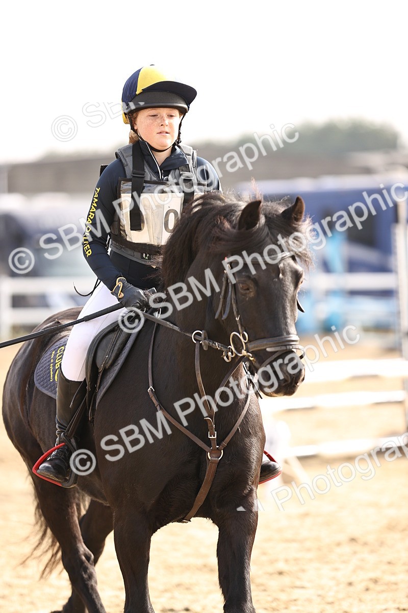 SBM_003151 - Class 2 - 80cm