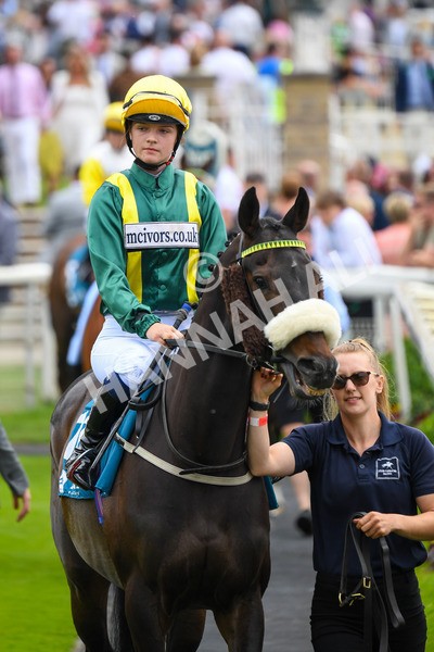 170623-Race 1-Shake a Leg-0085 - Race 1 2.00pm Queen Mother's Cup Handicap