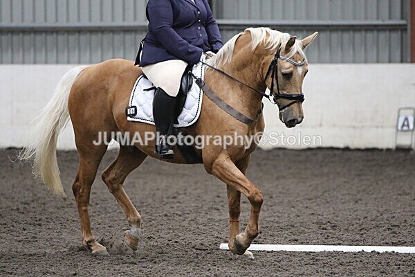 SIAL5469 - CAbin Dressage 5th july 2025