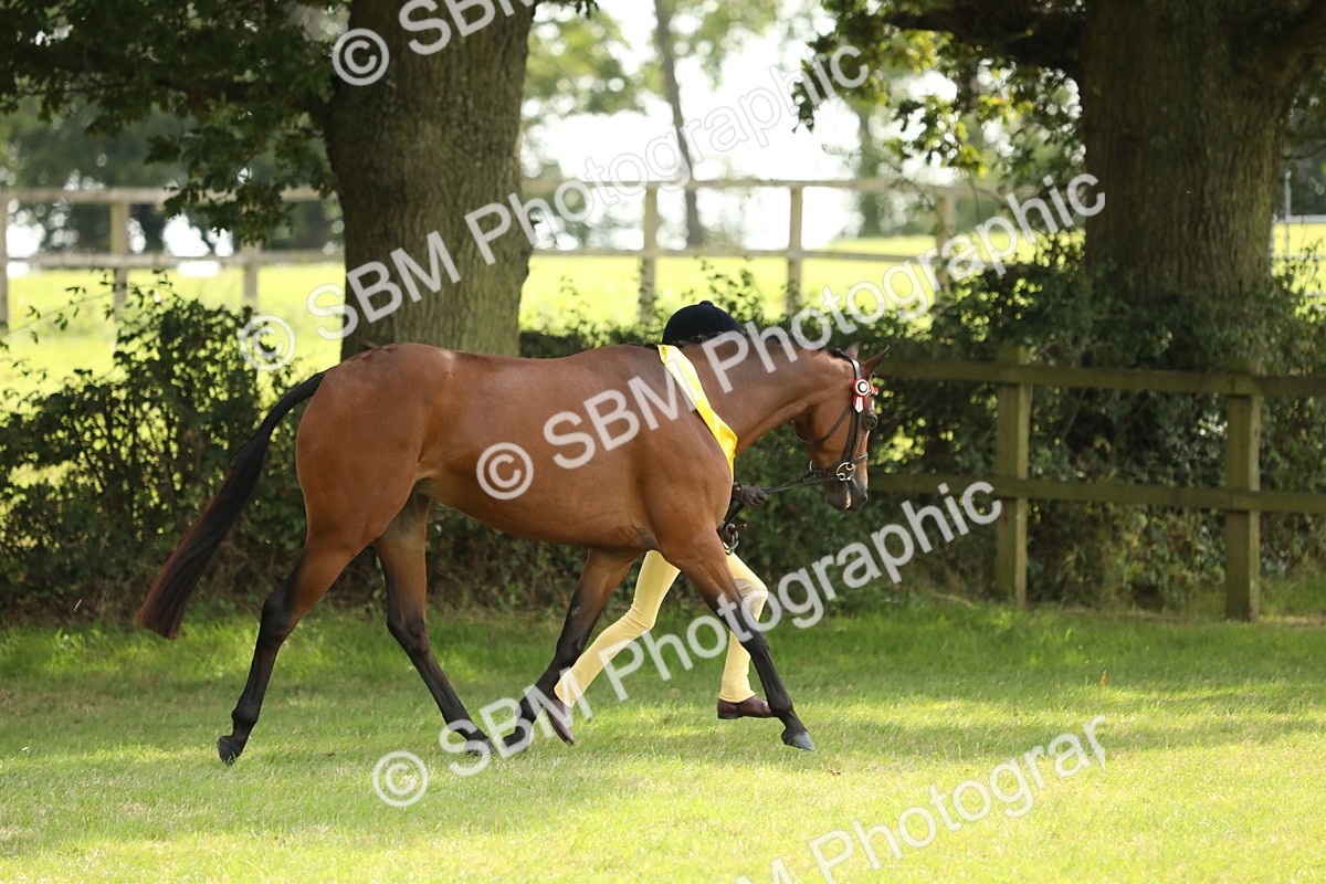 SBM_66292 - In Hand Pony & Youngstock Supreme Championship