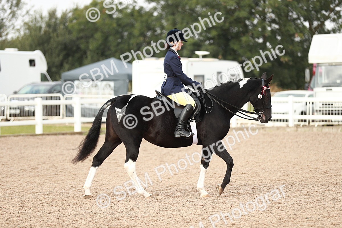 SBM_09410 - Class 202 Best Turned Out Ridden