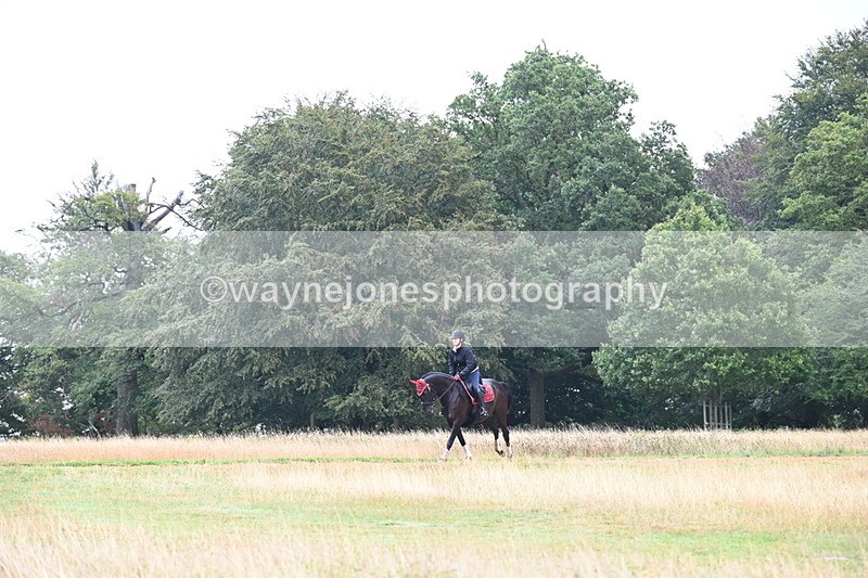 DSC_1681 - Time at Statue 12:13 to 12:32