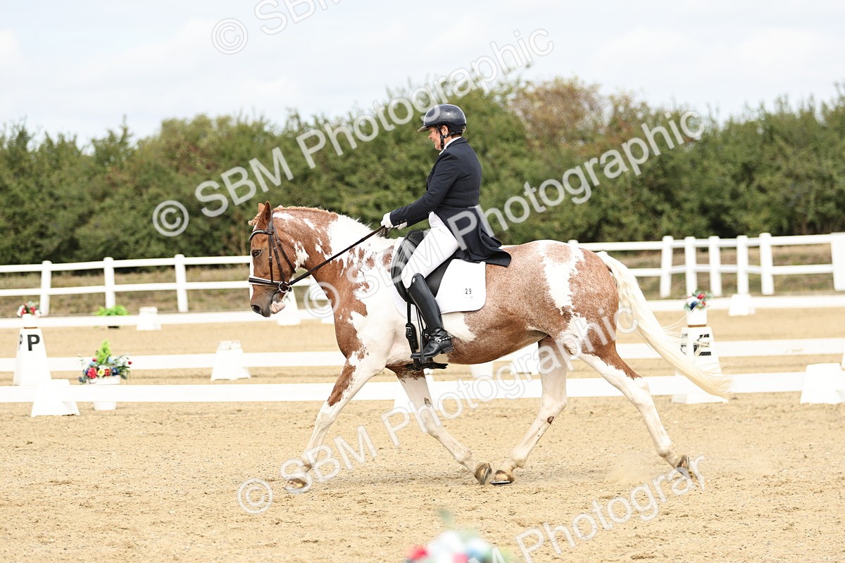 SBM_007325 - Class 25 - FEI PSG Bronze