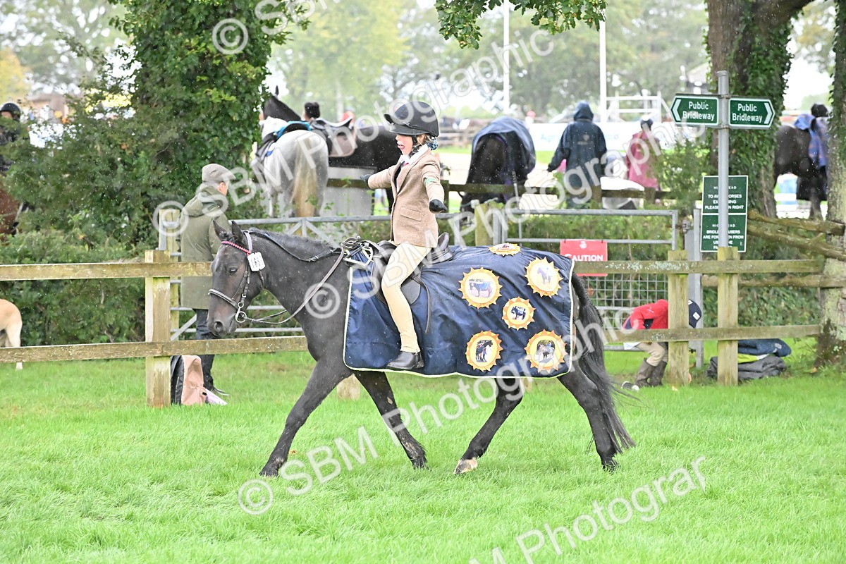 SBM_42992 - S12 - Family Horse & Pony