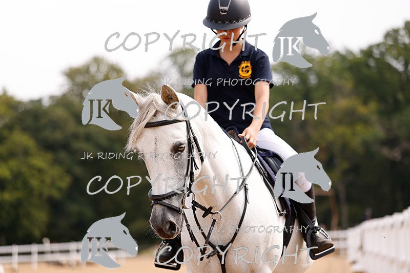 _R6A2418 - Dressage Morning