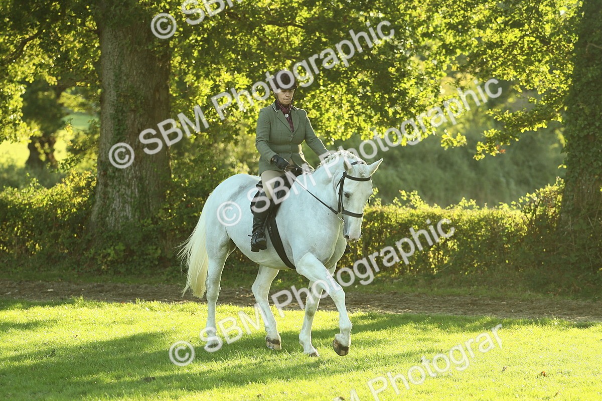 SBM_55565 - S14 - Riding Club Horse