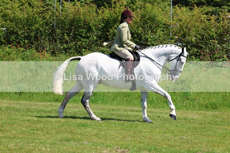 3E7A8280 - Class 13: Ridden Hunter