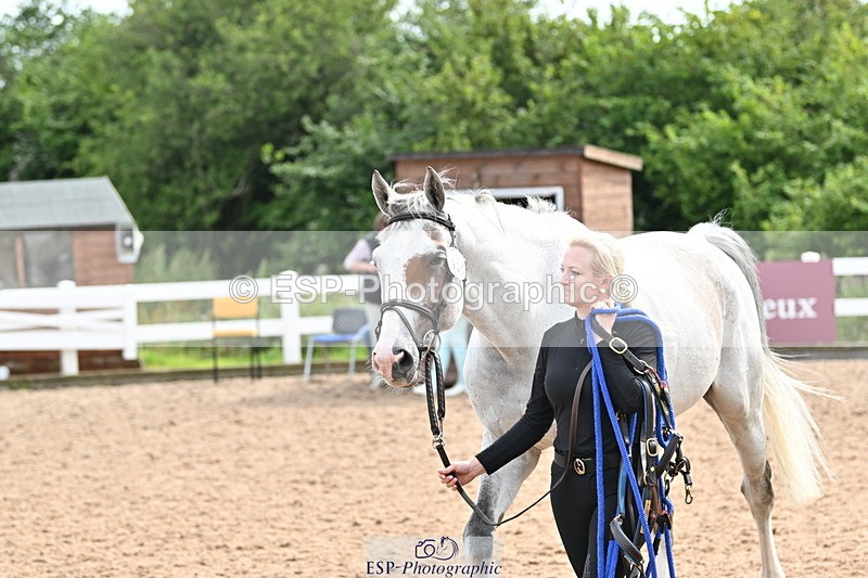 240717A-164352-03509 - Trot Up 4pm to 5pm