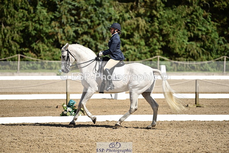 140110A-051638-12431 - 161-Alison.Zuend-Il.Danubio