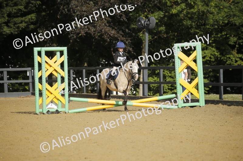 20250622-1152 - 40cm