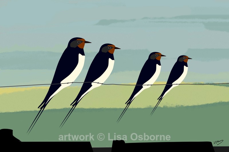Swallows - DIGITAL ARTWORK