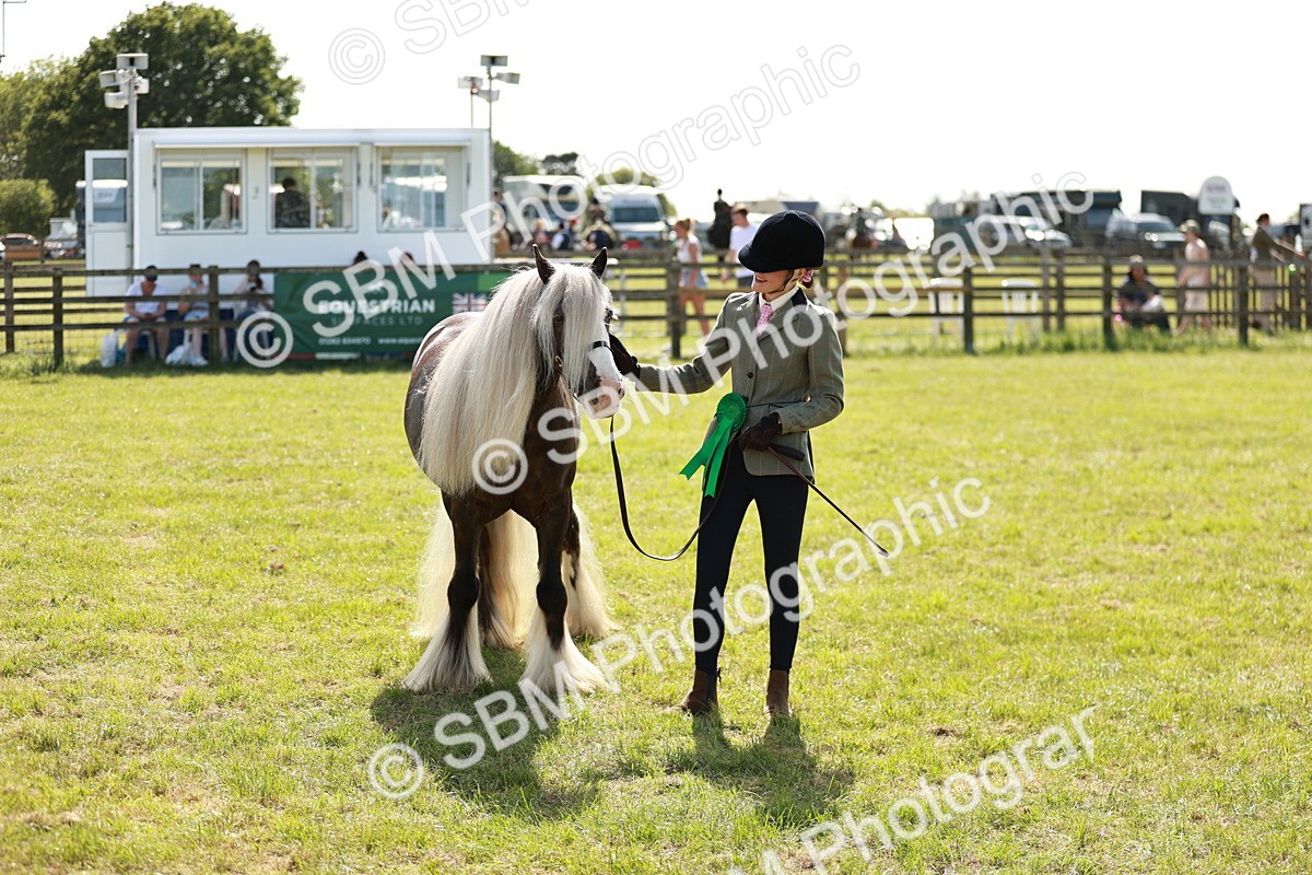 SBM_08926 - Class 63-65 - Traditional Gypsy Cobs In Hand & Ridden
