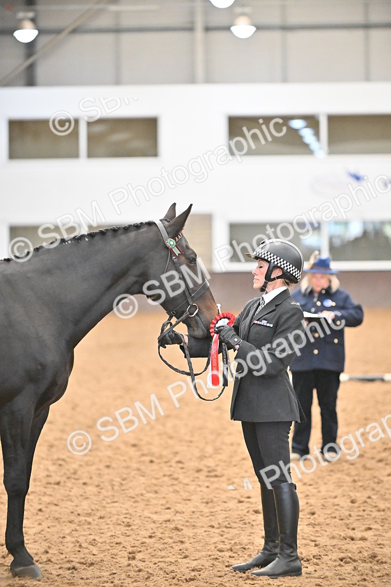 SBM_000760 - Class 16 - In Hand Showing Supreme Championships