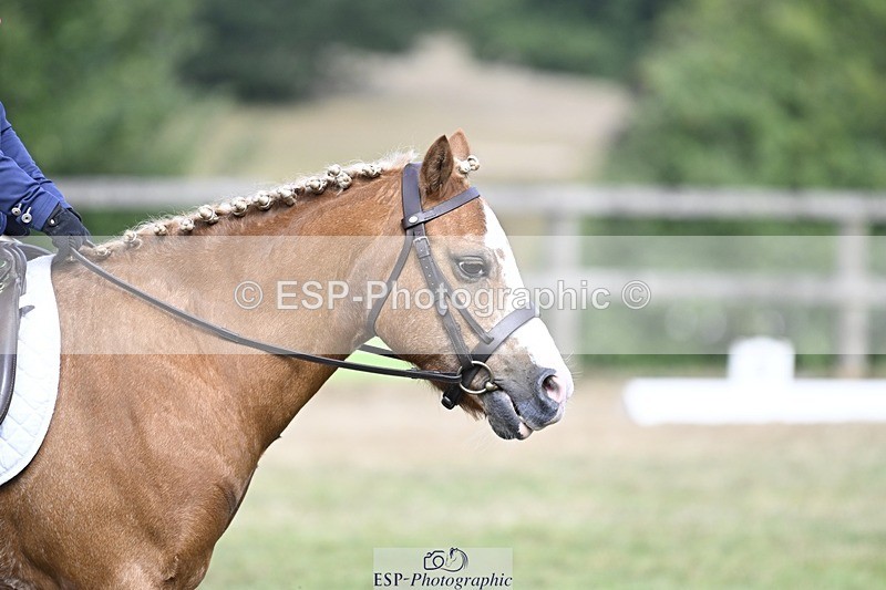 250821A-103554-14431 - DR 10.00 to 11.00