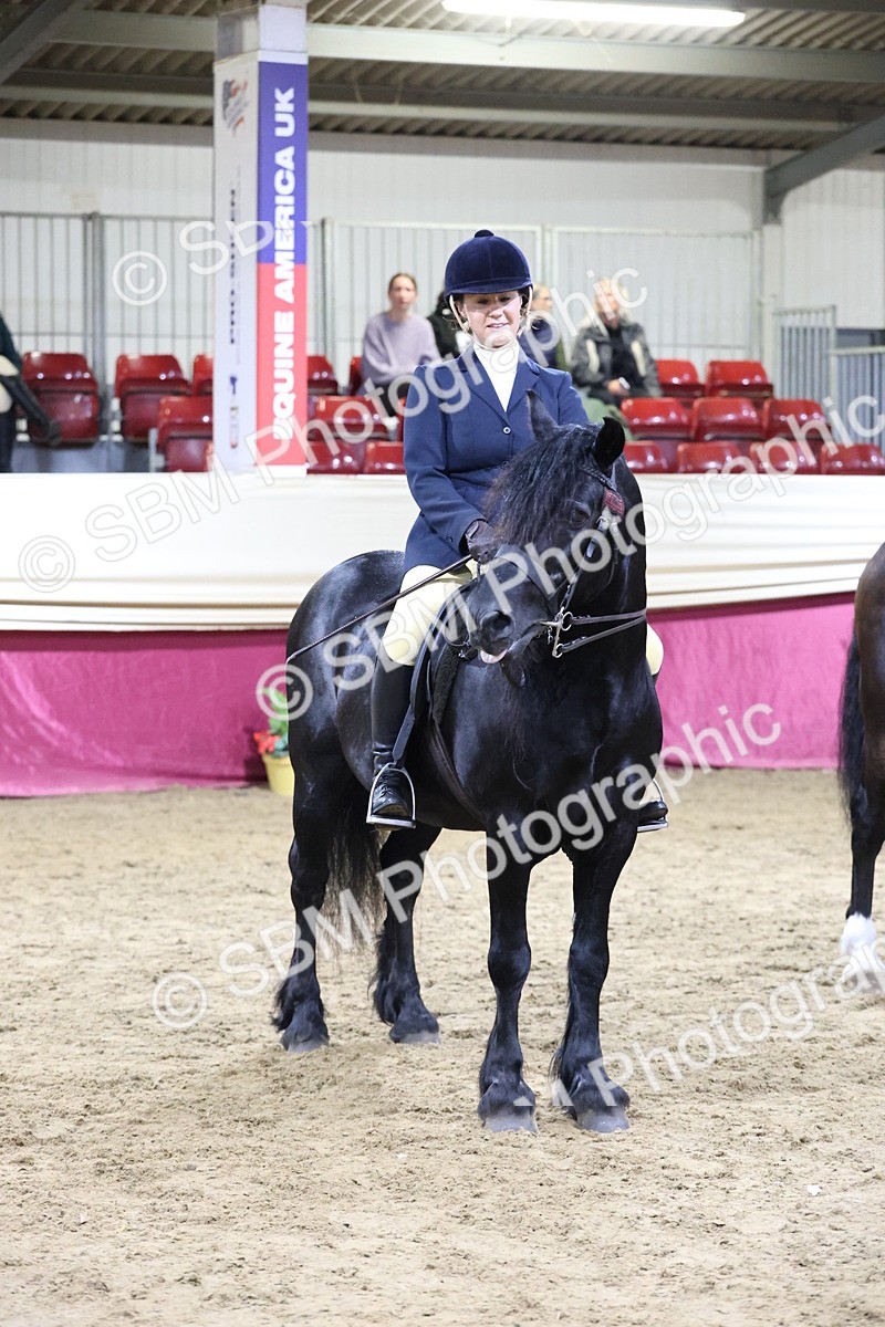 SBM_21402 - Class T - Working Veteran Champs
