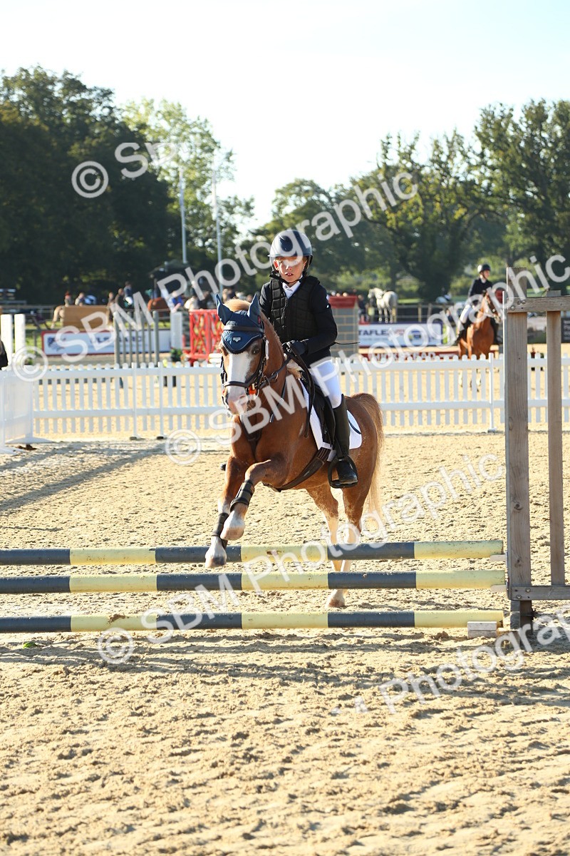 SBM_34997 - J5 - Junior Pony 50cm Championship