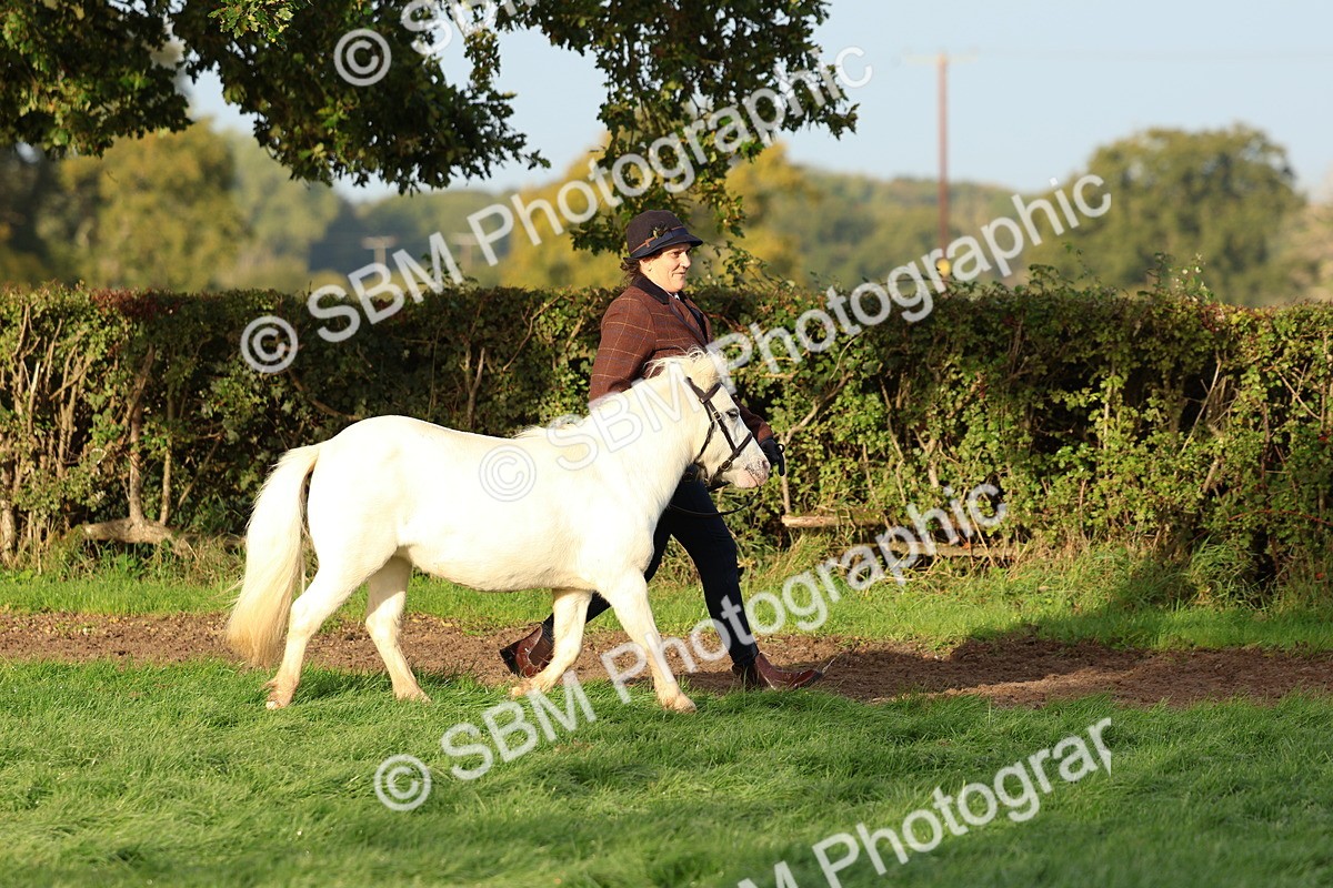 SBM_54760 - S39 - Starters In Hand Showing