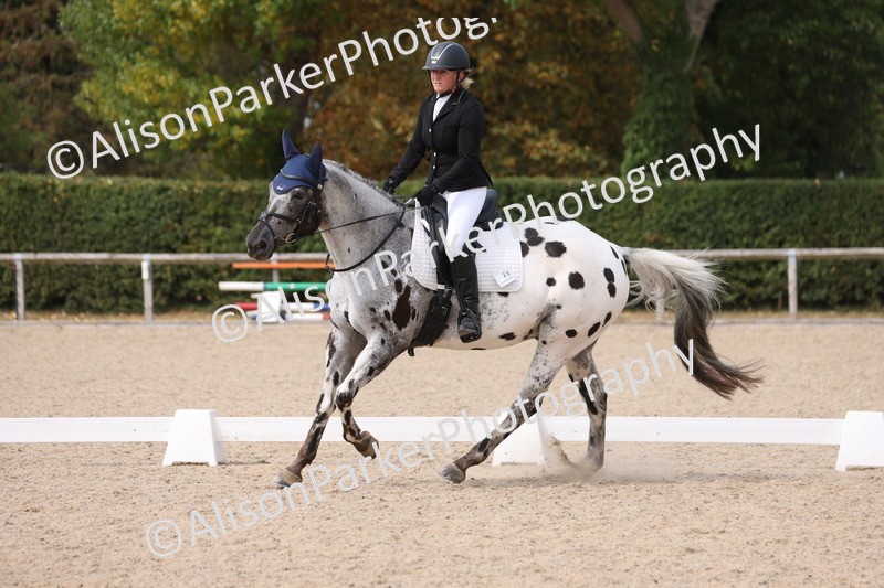 20250819-1599 - Class 5 - Novice 3