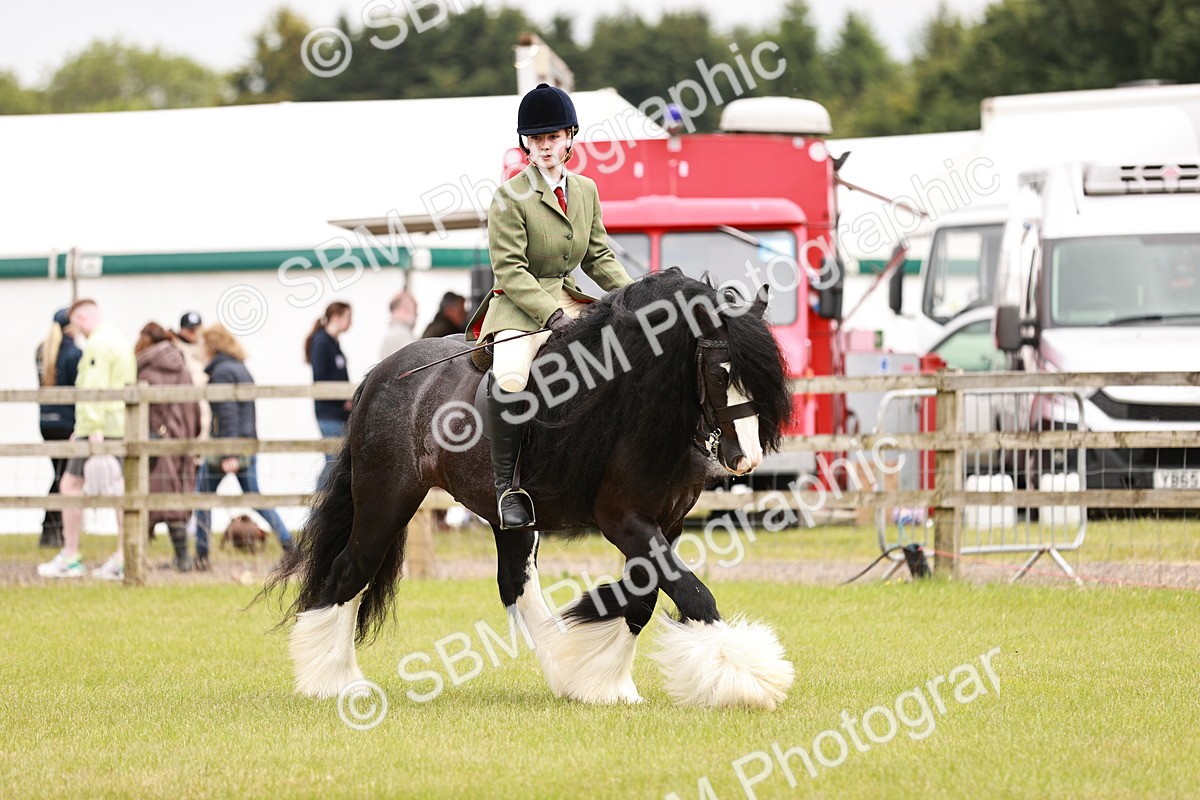 SBM_06221 - Class 39-41 TGCA In Hand and Ridden