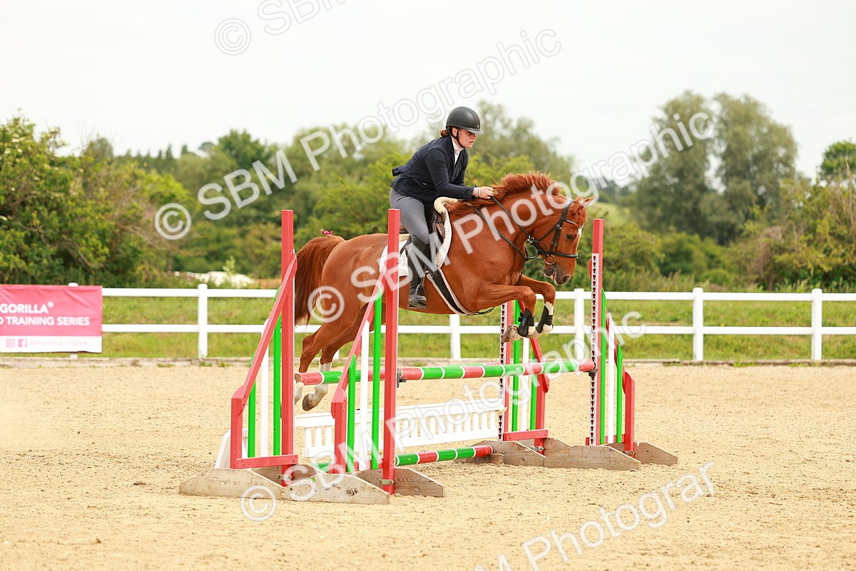 SBM_000819 - Class 2 - Senior British Novice - 90cm