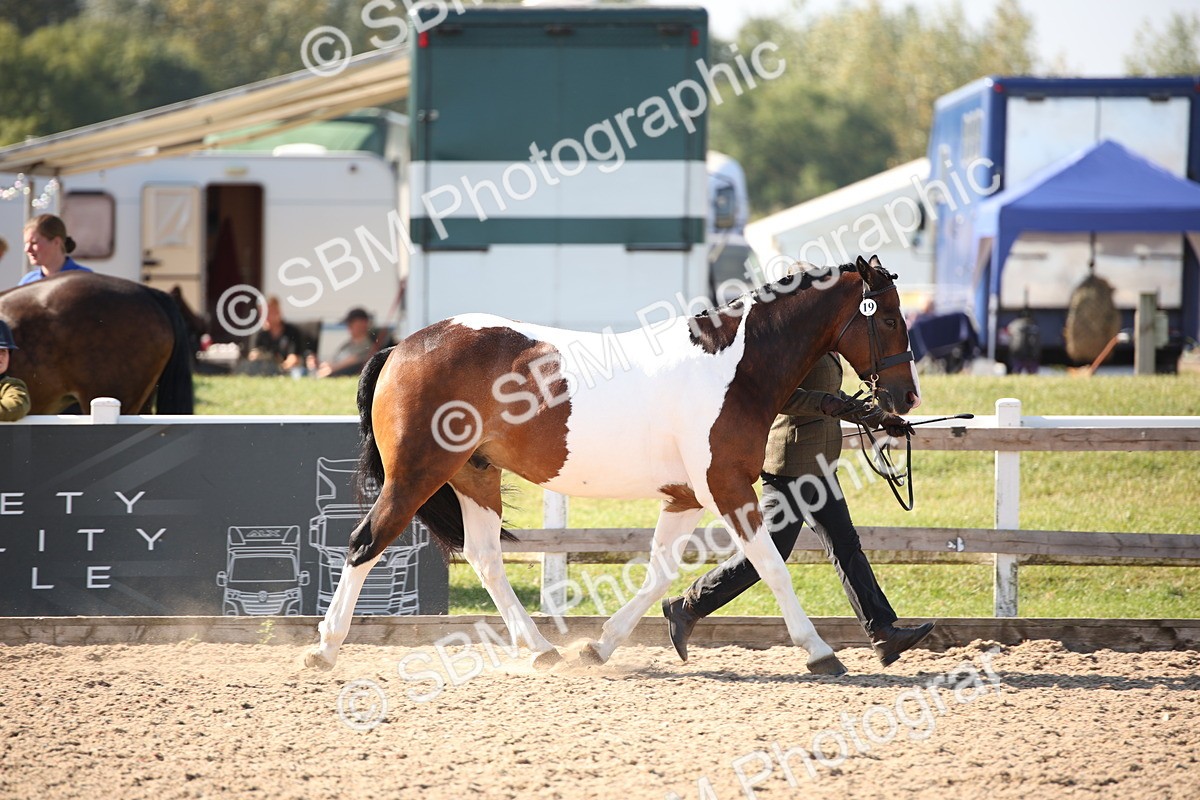 SBM_01468 - Class 15 IH Coloured