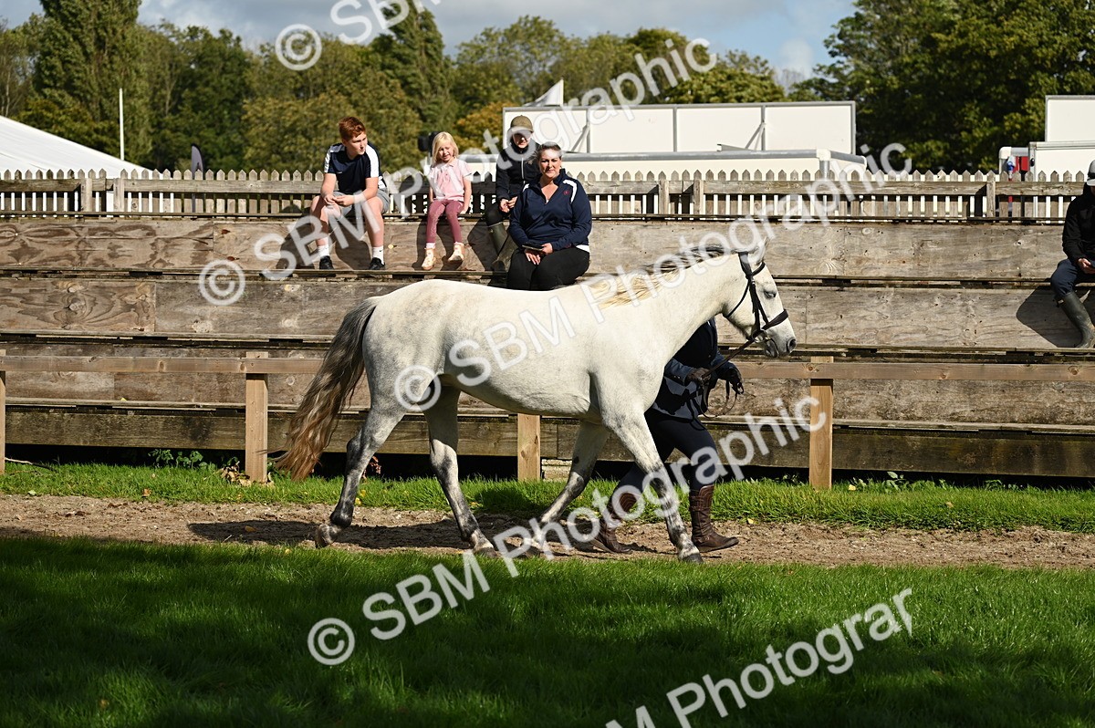 SBM_24976 - S5 - Novice & Newcomer In hand