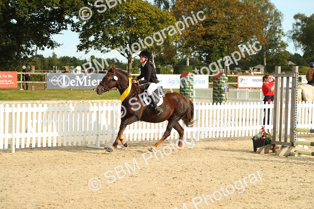 SBM_51767 - J7 - Junior Pony 60cm Championship