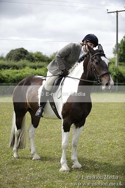 BVR160717-1907 - Ring 1 BVRC Show 16/07/17