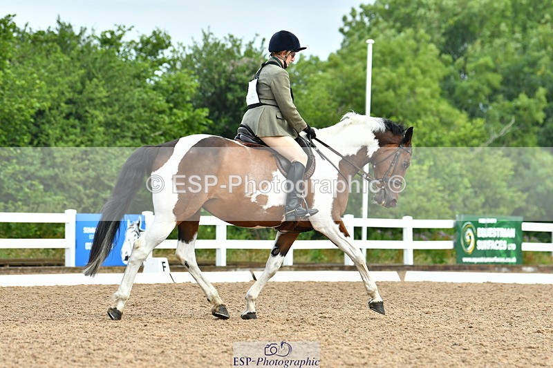 230708A-090751-01990 - Prelim 13