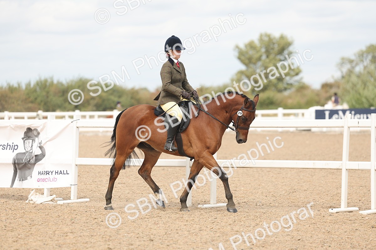 SBM_15955 - Class 311 - Ridden Show pony-Show hunter Pony