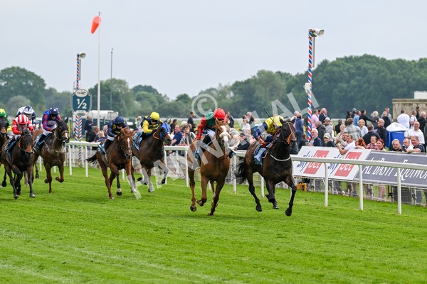 160524-Race 2-Point Lynas-5401 - Race 2 2.45pm Oakmere Homes Hambleton Handicap