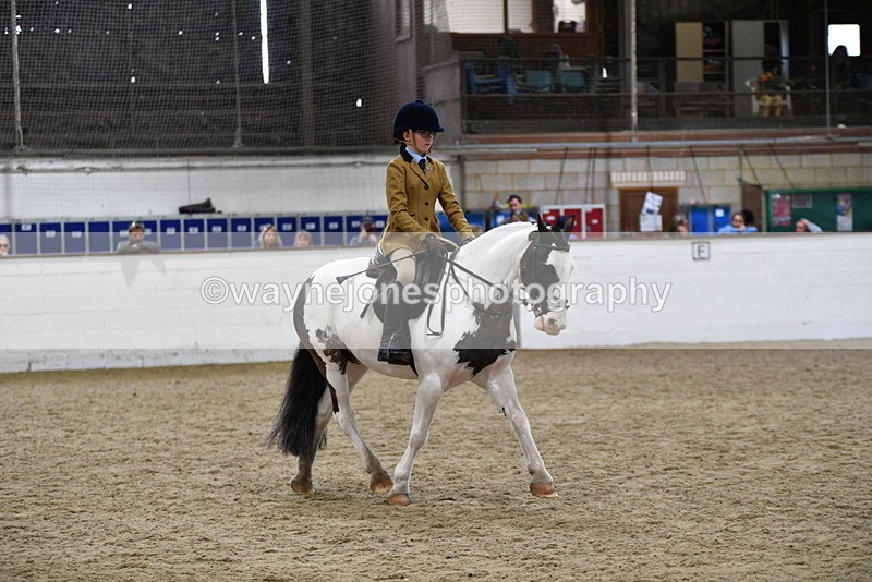 WJ5_7295 - Class 11 Ridden PC - RC Pony