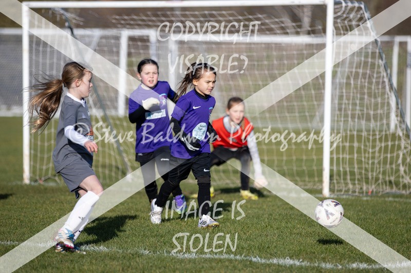1DX30890 - 2026-01-17 FC Abbey Meads U9 Purple Girls V Develop FC U9 Girls