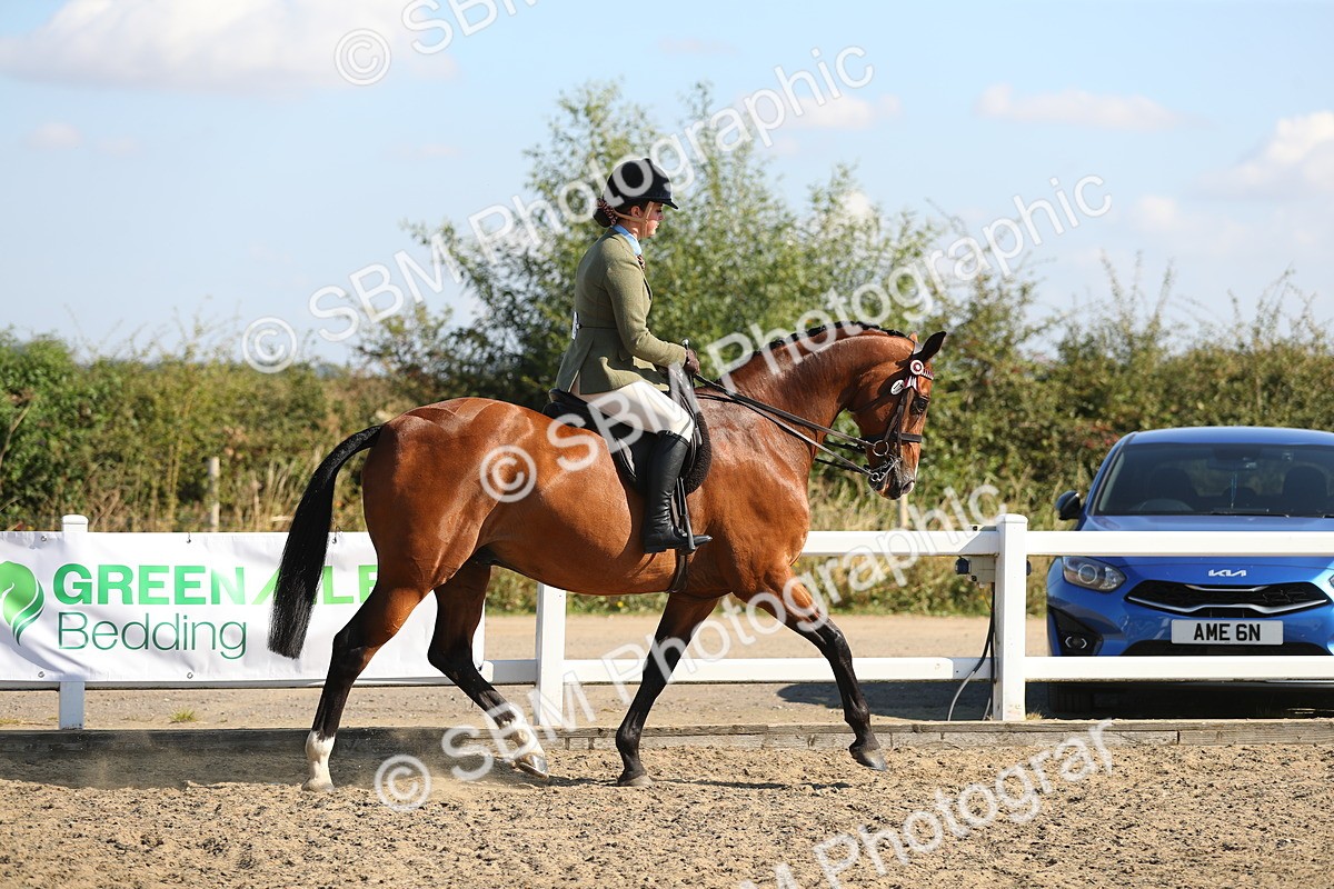 SBM_02190 - Class 43 Ridden Competition Horse/Pony