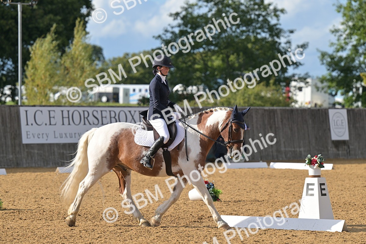 SBM_12939 - D3 - Small Tour Championship Intro 3