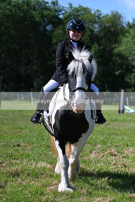WJ7_0345 - Class 8 First Rally Pony
