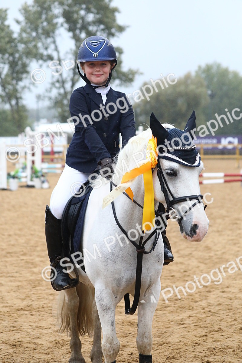 SBM_71858 - J4 - Mini Tour Junior Pony 45cm Championship