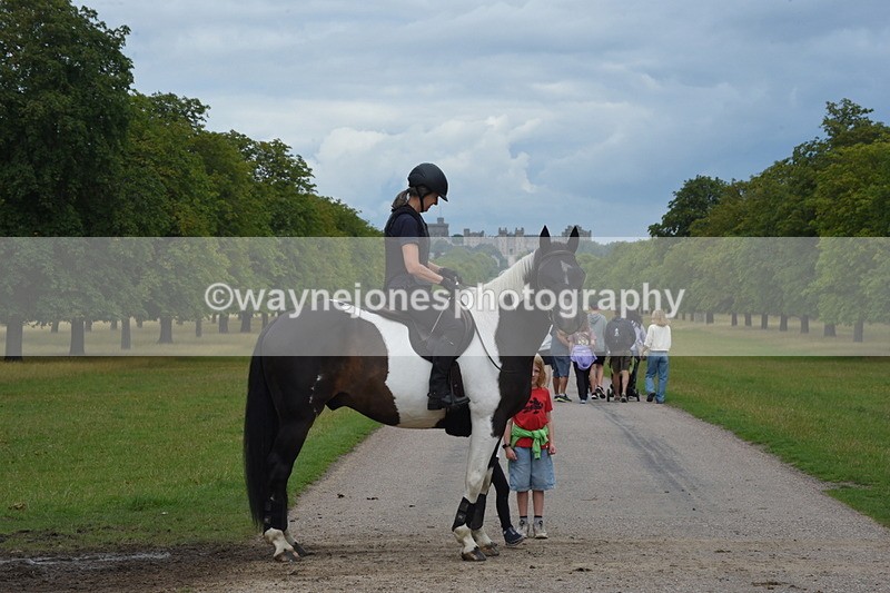 TT3_9615 - Time at Crossing 11:28 to 13:16