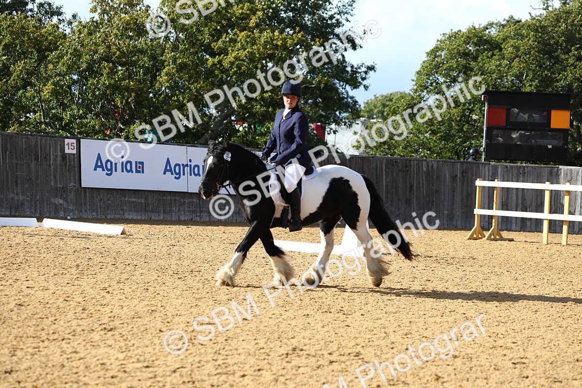 SBM_26780 - D11 - Small Tour Championship Prelim 1