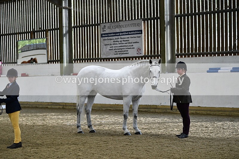 WJ5_3968 - Class 2 Best Condition In hand