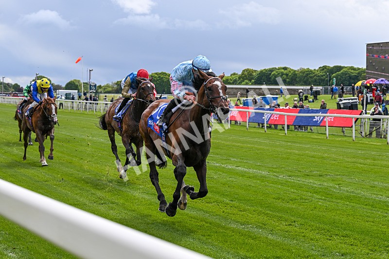 130526-Race 2-Klassleader-2458 - Race 2 2.20pm Sky Bet Race To The Ebor Jorvik Handicap